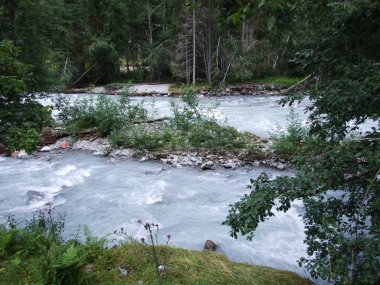 Maderanertal Alpine vadisindeki Charstelenbach akarsu-Uri Kantonu, Isviçre
