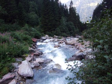 Maderanertal Alpine vadisindeki Etzlibach dere-Uri Kantonu, Isviçre