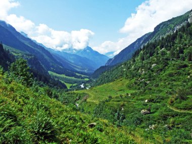 Maderanertal alp Vadisi-Uri Kantonu, Isviçre
