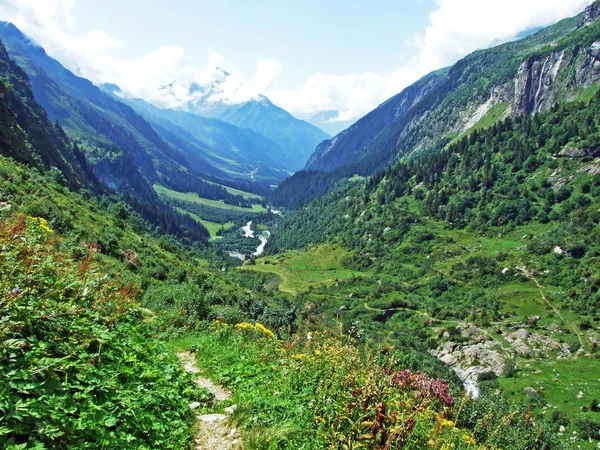 Vallée Alpine Maderanertal Canton Uri Suisse — Photo