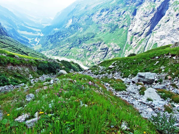 Valle Alpino Maderanertal Cantón Uri Suiza —  Fotos de Stock