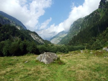Maderanertal Alpine vadisinde alp çayırları ve çayır-Uri Kantonu, Isviçre