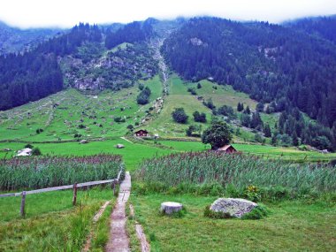 Maderanertal Alpine vadisinde alp çayırları ve çayır-Uri Kantonu, Isviçre