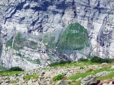 Maderanertal Alpine vadisindeki taşlar ve kayalar-Uri Kantonu, Isviçre