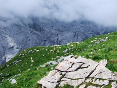 Maderanertal Alpine vadisindeki taşlar ve kayalar-Uri Kantonu, Isviçre