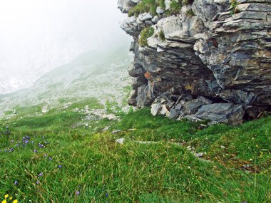 Maderanertal Alpine vadisindeki taşlar ve kayalar-Uri Kantonu, Isviçre