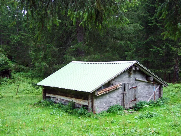 Tradycyjna Architektura Wsi Gospodarstwa Hodowlane Dolinie Alpejskiej Maderanertal Canton Uri — Zdjęcie stockowe