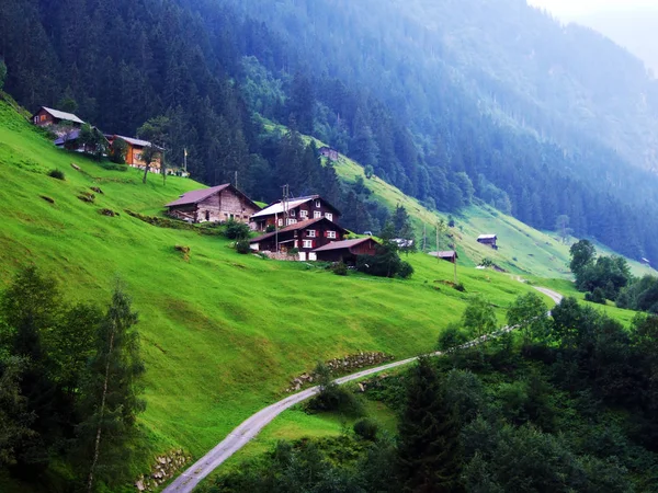 Maderanertal アルプス渓谷の農村伝統的建築と家畜農場 Uri のカントン スイス — ストック写真