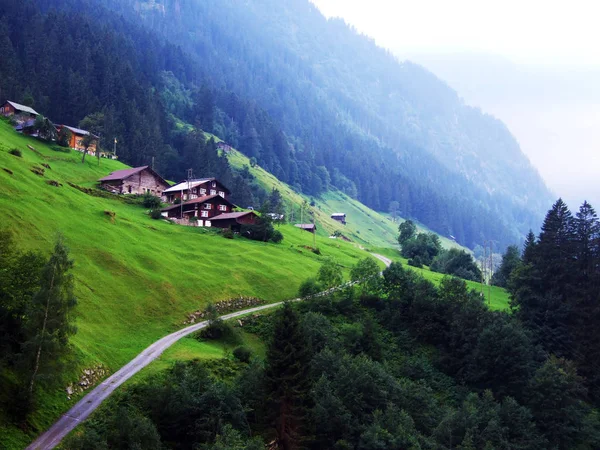 Ländliche Traditionelle Architektur Und Viehzucht Maderanertaler Alpental Kanton Uri Schweiz — Stockfoto