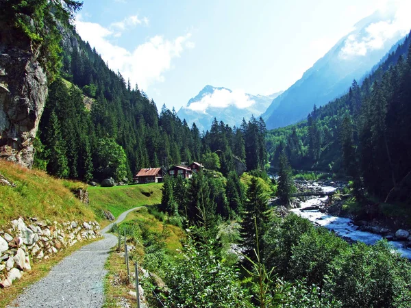Bäume Und Mischwälder Maderanertaler Alpental Kanton Uri Schweiz — Stockfoto