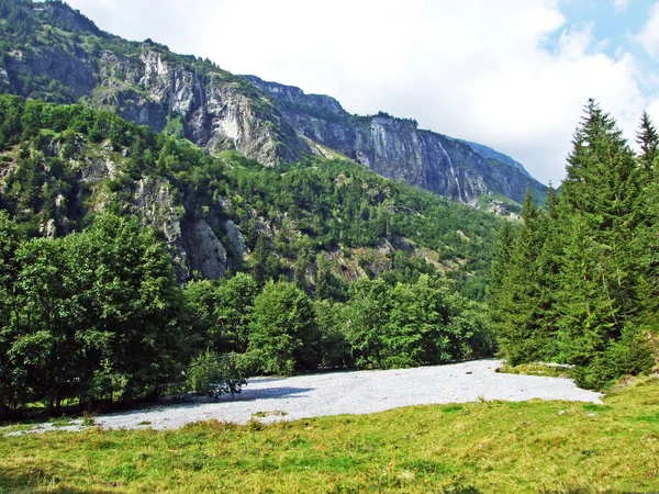 Fák Vegyes Erdők Maderanertal Alpesi Völgyben Uri Canton Svájc — Stock Fotó