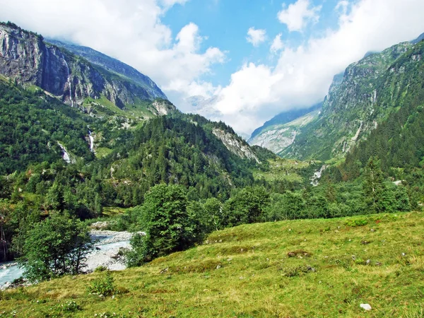 Árboles Bosques Mixtos Valle Alpino Maderanertal Cantón Uri Suiza —  Fotos de Stock