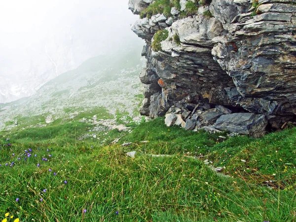 Maderanertal Alpine vadisindeki taşlar ve kayalar-Uri Kantonu, Isviçre