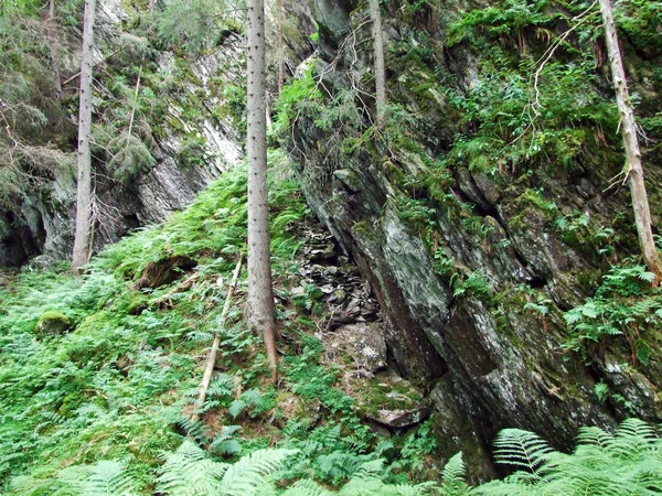 Камені Каміння Долині Мамерантальталь Кантоні Урі Швейцарія — стокове фото