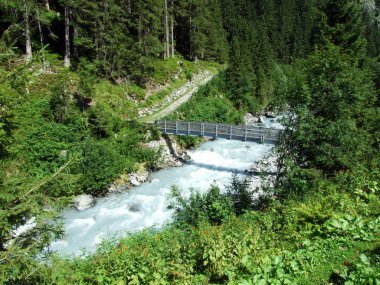 Maderanertal Alpine vadisindeki Charstelenbach akarsu üzerinde ahşap yollar ve köprüler-Uri Kantonu, Isviçre