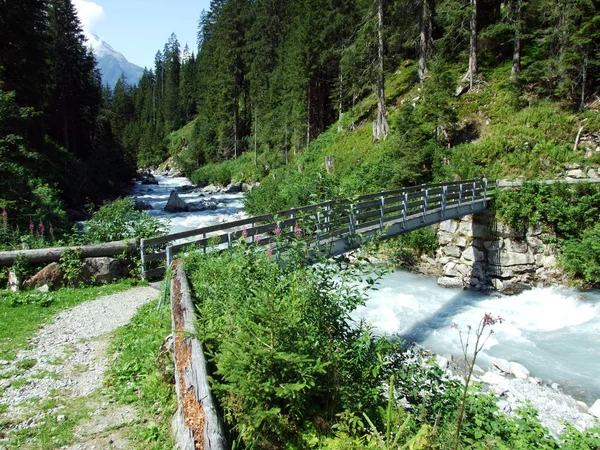 Dřevěné Stezky Mosty Bystřinách Charstelenbach Maderanertal Alpine Kantonu Uri Švýcarsko — Stock fotografie