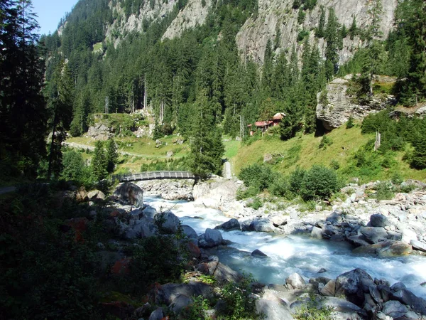 Dřevěné Stezky Mosty Bystřinách Charstelenbach Maderanertal Alpine Kantonu Uri Švýcarsko — Stock fotografie