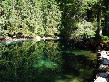 Ormanda küçük bir dağ gölü Butzlisseli-Uri Kantonu, Isviçre