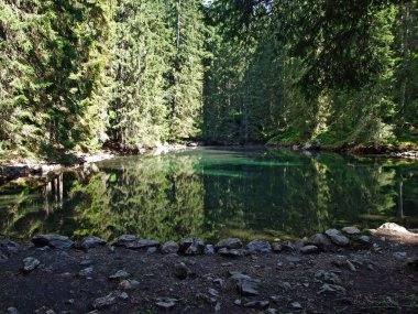 Ormanda küçük bir dağ gölü Butzlisseli-Uri Kantonu, Isviçre