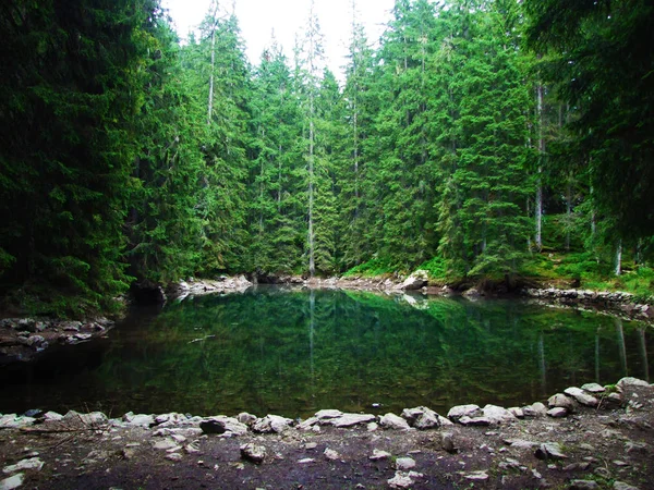 Piccolo Lago Montagna Butzlisseli Nel Bosco Canton Uri Svizzera — Foto Stock