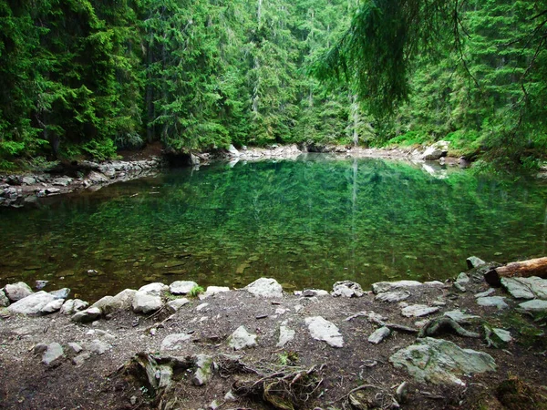 Pequeño Lago Montaña Butzlisseli Bosque Cantón Uri Suiza — Foto de Stock