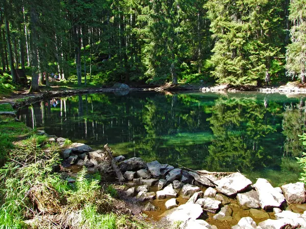 Piccolo Lago Montagna Butzlisseli Nel Bosco Canton Uri Svizzera — Foto Stock