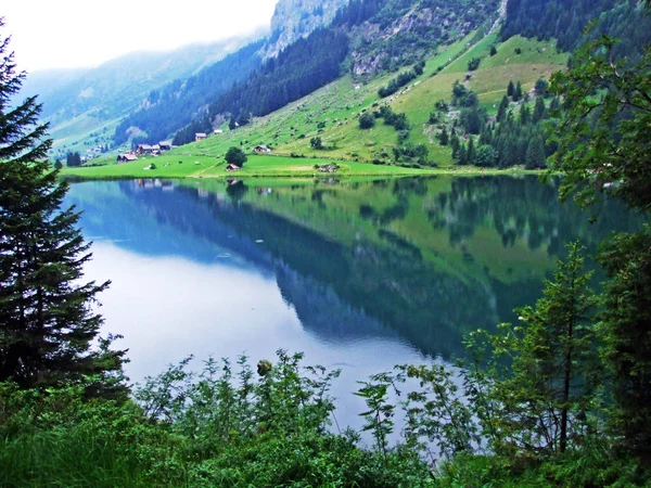 Lacul Montan Golzerensee Sau Bergsee Golzernsee Cantonul Uri Elveția — Fotografie, imagine de stoc