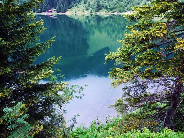 Montanha Lago Golzerensee Bergsee Golzernsee Cantão Uri Suíça — Fotografia de Stock