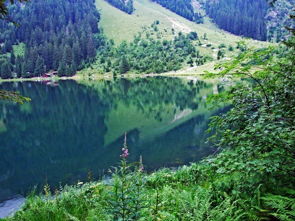 Het Meer Golzerensee Van Berg Bergsee Golzernsee Kanton Van Uri — Stockfoto