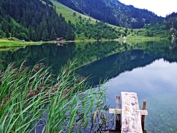 Vuoristojärvi Golzerensee Tai Bergsee Golzernsee Urin Kantoni Sveitsi — kuvapankkivalokuva