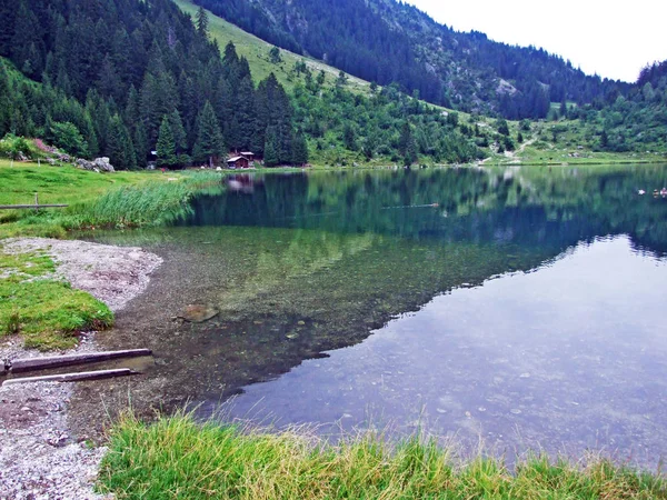 Horské Jezero Golzerensee Nebo Bergsee Golzernsee Kantonu Uri Švýcarsko — Stock fotografie