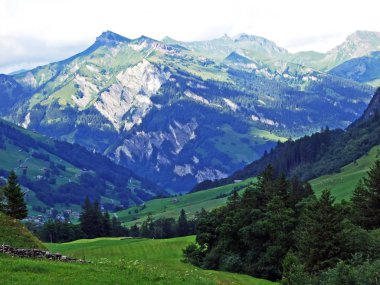 Ağaçlar ve dağ Glarus Alps - Canton Glarus, İsviçre eteklerinde karışık ormanlar