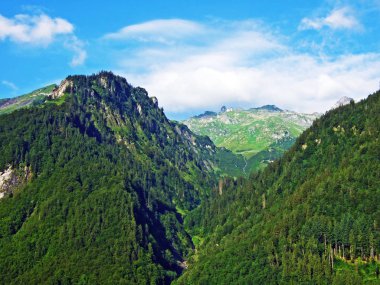 Ağaçlar ve dağ Glarus Alps - Canton Glarus, İsviçre eteklerinde herdem yeşil ormanlar
