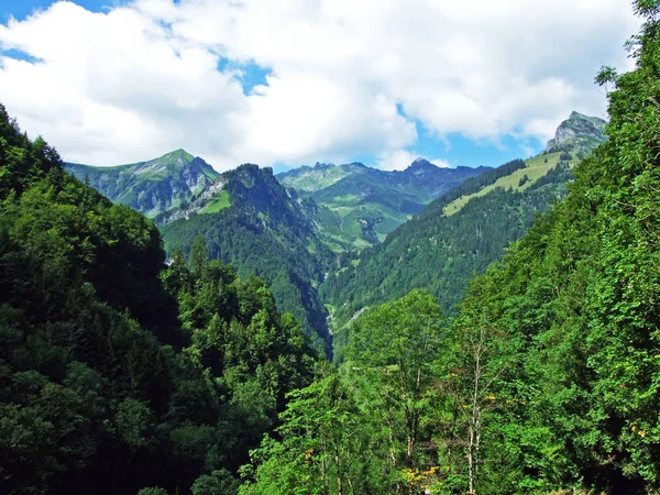 Bäume Und Mischwälder Den Hängen Der Glarner Alpen Kanton Glarus — Stockfoto