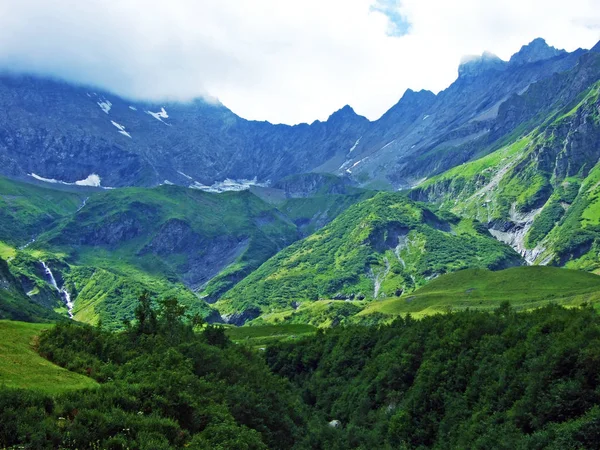 Arbres Forêts Mixtes Sur Les Pentes Chaîne Montagnes Glaris Alpes — Photo
