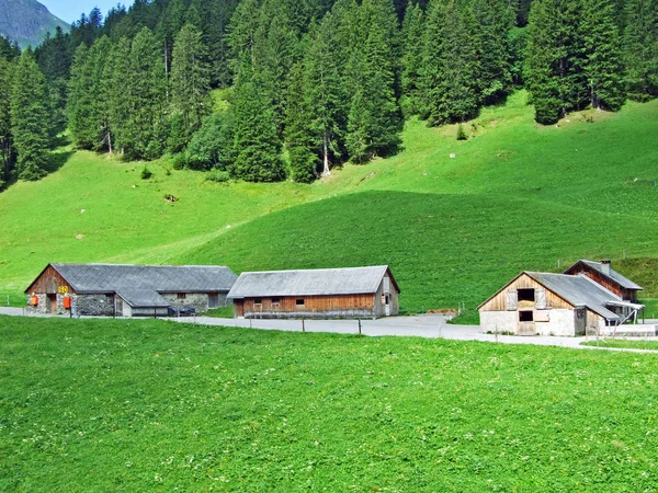 Sernftal アルパイン バレー グラールス州のカントン スイス連邦共和国の農村部の伝統的なアーキテクチャと畜産農場 — ストック写真