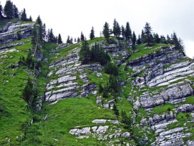 Sernftal Alpin vadisindeki taşlar ve kayalar-Glarus Kantonu, Isviçre