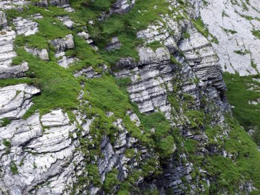 Sernftal Alpin vadisindeki taşlar ve kayalar-Glarus Kantonu, Isviçre