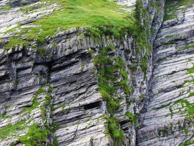 Sernftal Alpin vadisindeki taşlar ve kayalar-Glarus Kantonu, Isviçre