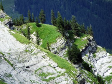 Sernftal Alpin vadisindeki taşlar ve kayalar-Glarus Kantonu, Isviçre