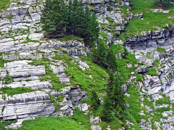Πέτρες Και Βράχοι Στο Sernftal Αλπικής Κοιλάδας Καντόνι Γκλάρους Ελβετία — Φωτογραφία Αρχείου