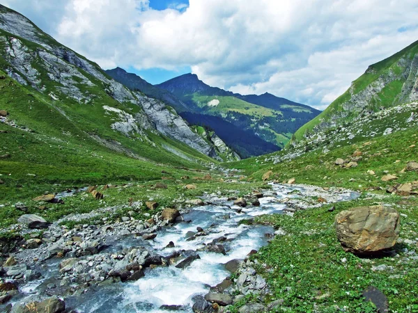 Jetzbachský Potok Alpském Údolí Loch Kantonu Glarus Švýcarsko — Stock fotografie