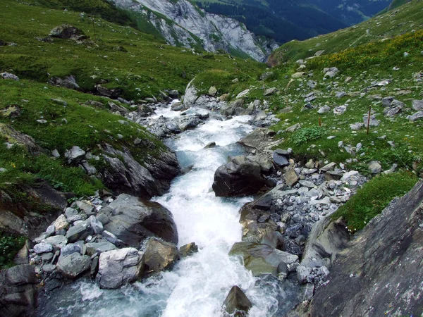 Fluxo Jetzbach Vale Alpino Loch Cantão Glarus Suíça — Fotografia de Stock
