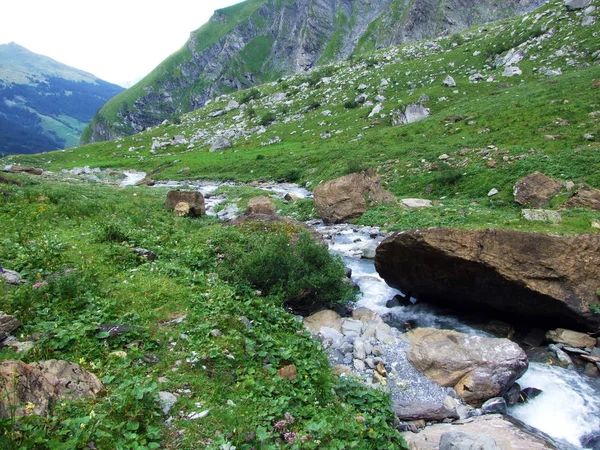 Jetzbach Stream Alpine Valley Loch Canton Glarus Switzerland — Stock Photo, Image