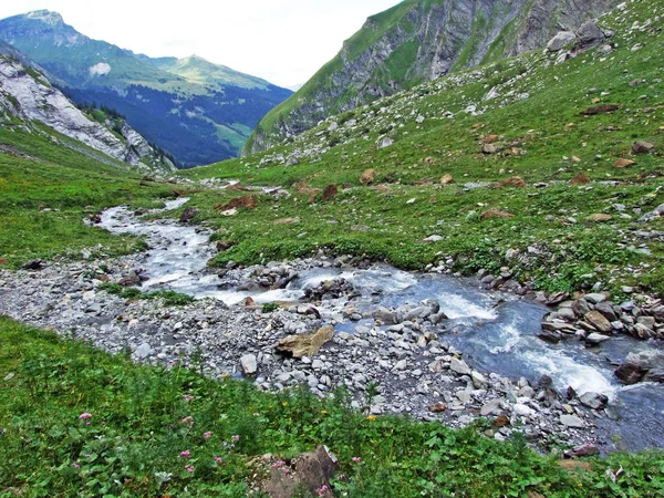 Fluxo Jetzbach Vale Alpino Loch Cantão Glarus Suíça — Fotografia de Stock