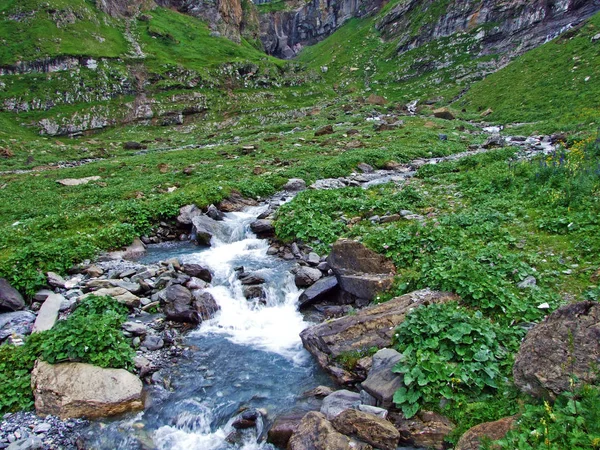 Loch Alp Vadisi Nde Jetzbach Dere Glarus Kantonu Isviçre — Stok fotoğraf