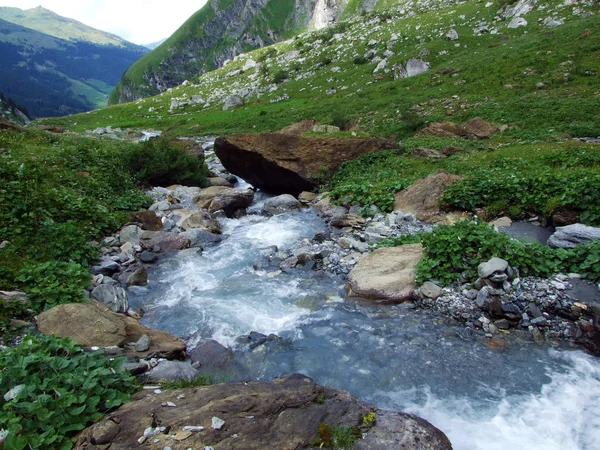 Река Йетцбах Альпийской Долине Лох Кантон Гларус Швейцария — стоковое фото