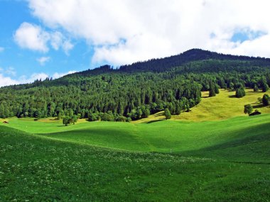 Sernftal vadisinde alp mera ve çayırlar-Uri Kantonu, Isviçre
