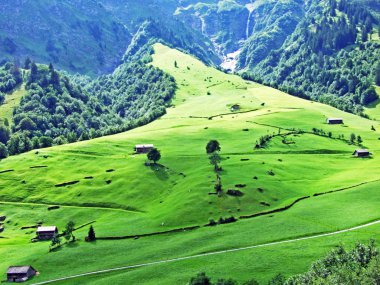 Sernftal vadisinde alp mera ve çayırlar-Uri Kantonu, Isviçre