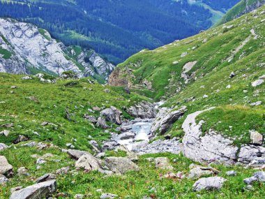 Sernftal vadisinde alp mera ve çayırlar-Uri Kantonu, Isviçre